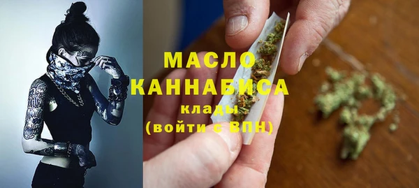 гидропоника Медногорск