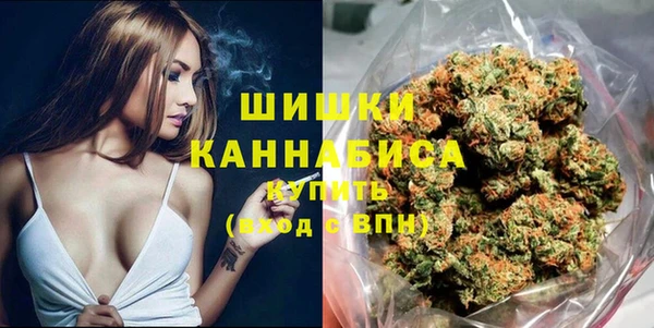 крисы Мегион