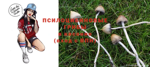 мяу мяу мука Магадан
