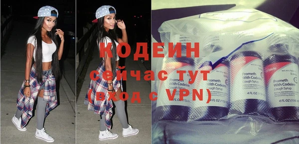 крисы Мегион