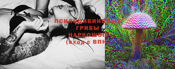 мяу мяу мука Магадан