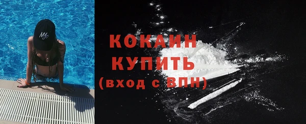 крисы Мегион
